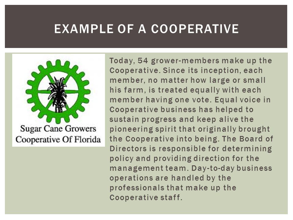 Example of a cooperative
