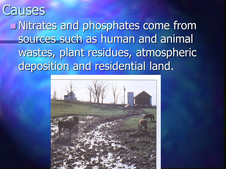 Causes Nitrates and phosphates come from sources such as human and animal wastes, plant residues, atmospheric deposition and residential land.
