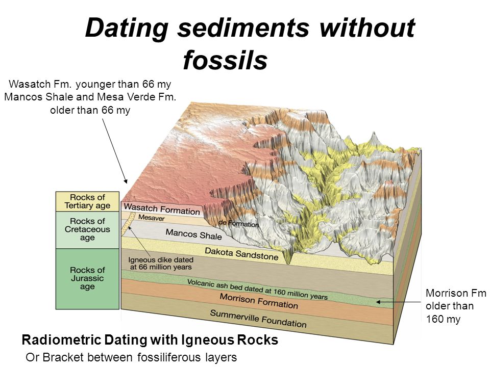 bicupid dating