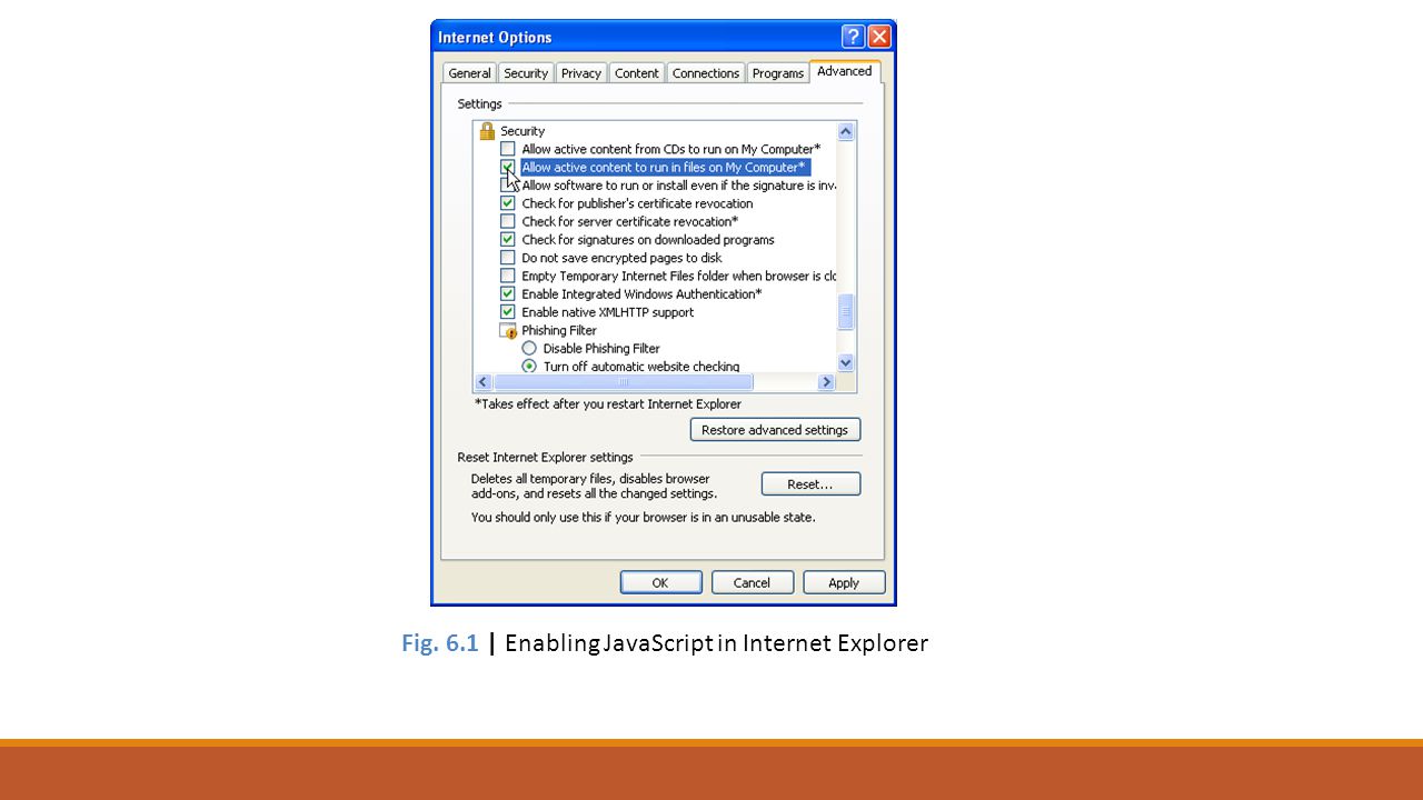 Fig. 6.1 | Enabling JavaScript in Internet Explorer