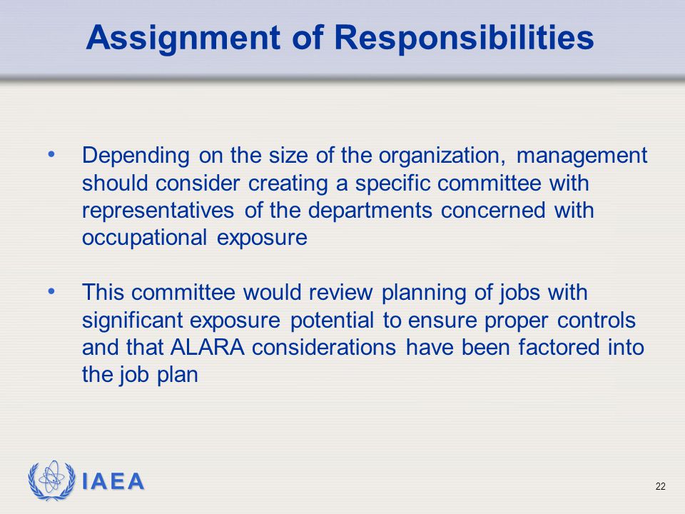 Assignment of Responsibilities