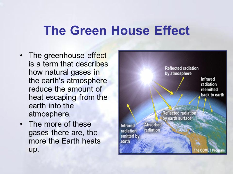 The Green House Effect