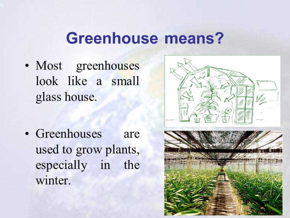 Greenhouse means Most greenhouses look like a small glass house.