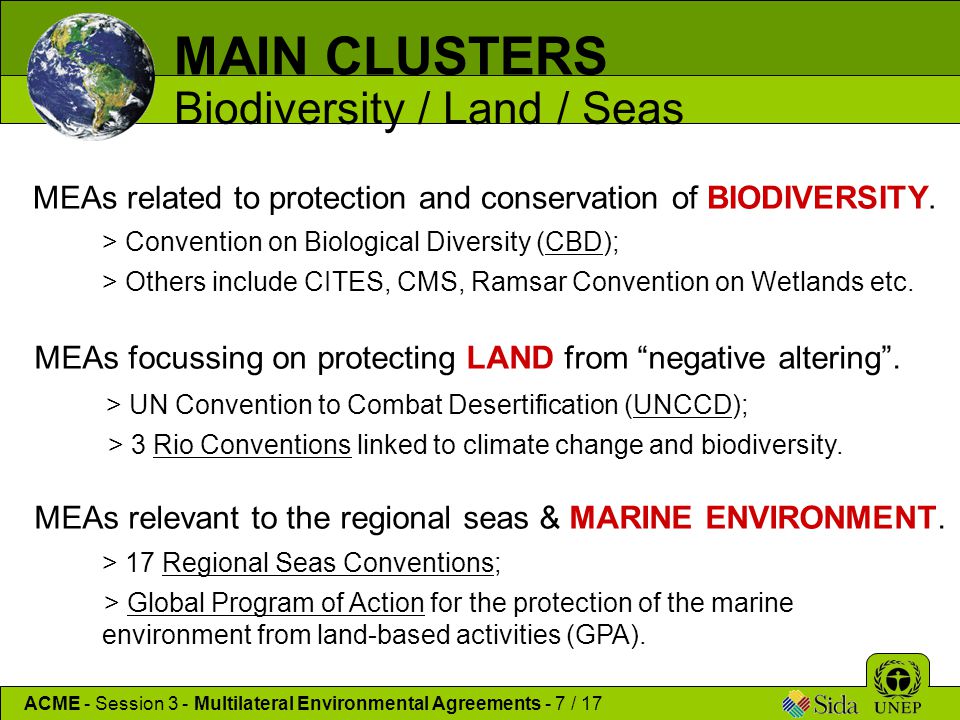 MAIN CLUSTERS Biodiversity / Land / Seas