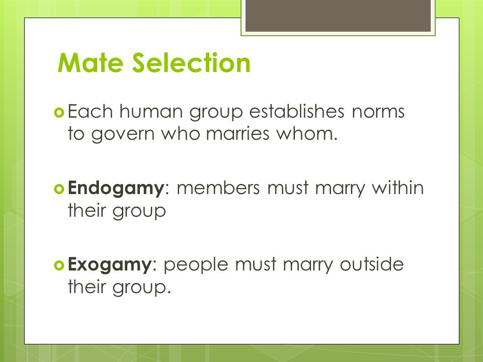 Mate Selection Each human group establishes norms to govern who marries whom. Endogamy: members must marry within their group.