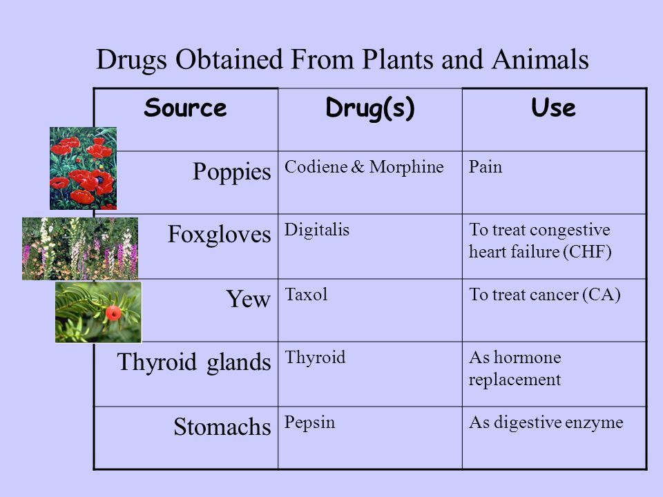 INTRODUCTION TO PHARMACOLOGY - ppt video online download