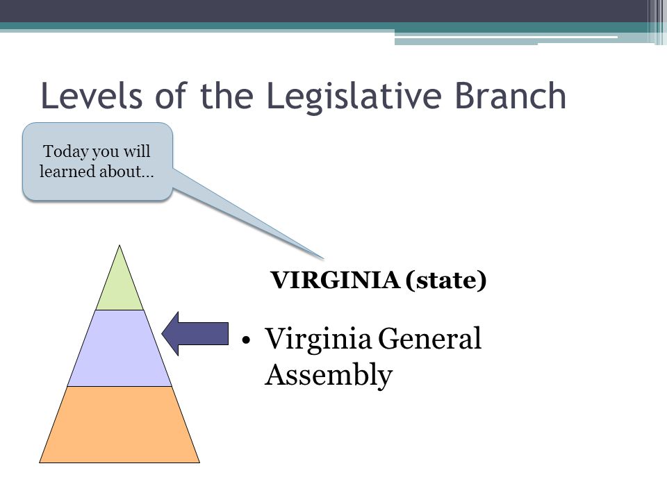 Levels of the Legislative Branch