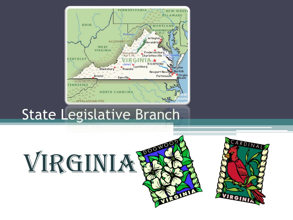 State Legislative Branch