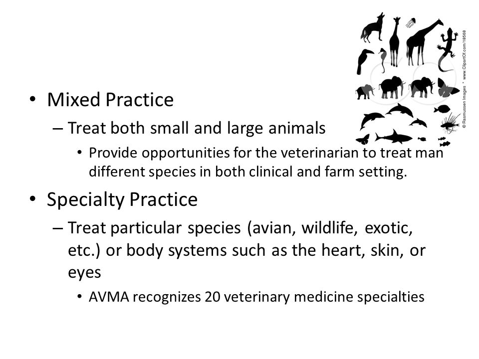 Mixed Practice Specialty Practice Treat both small and large animals