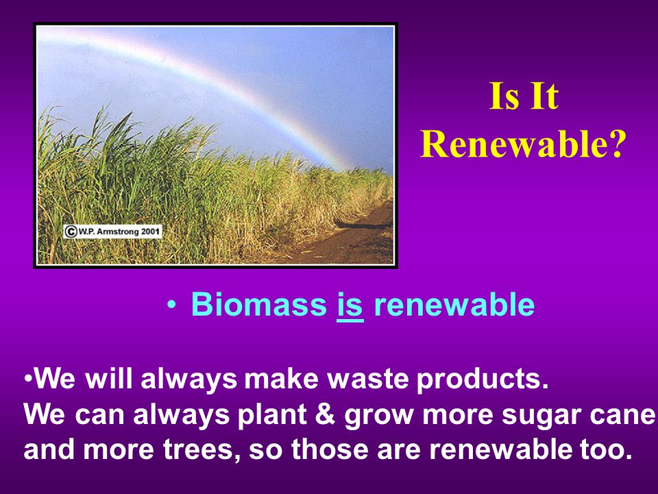 Is It Renewable Biomass is renewable