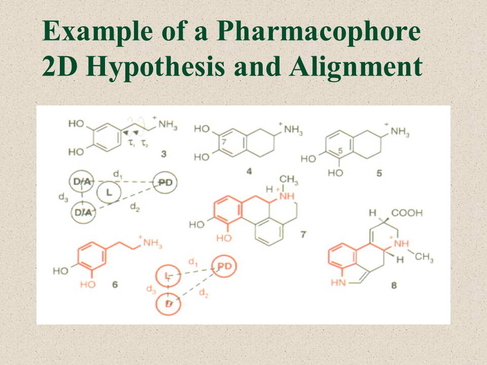 Example of a Pharmacophore 2D Hypothesis and Alignment