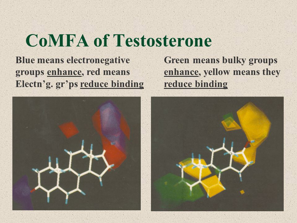 CoMFA of Testosterone Blue means electronegative