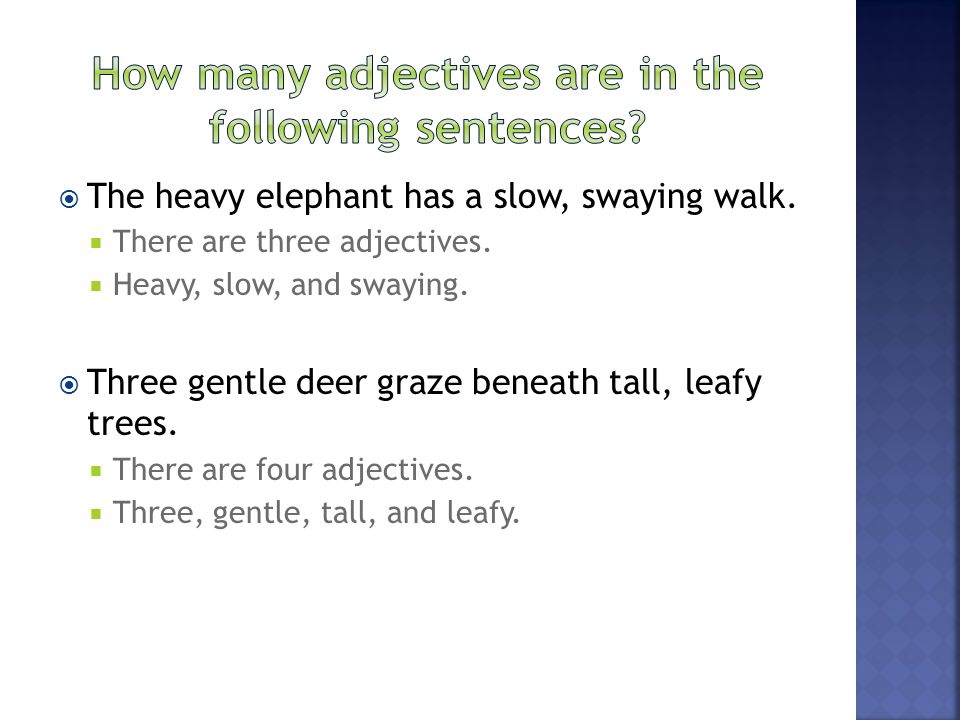 How many adjectives are in the following sentences