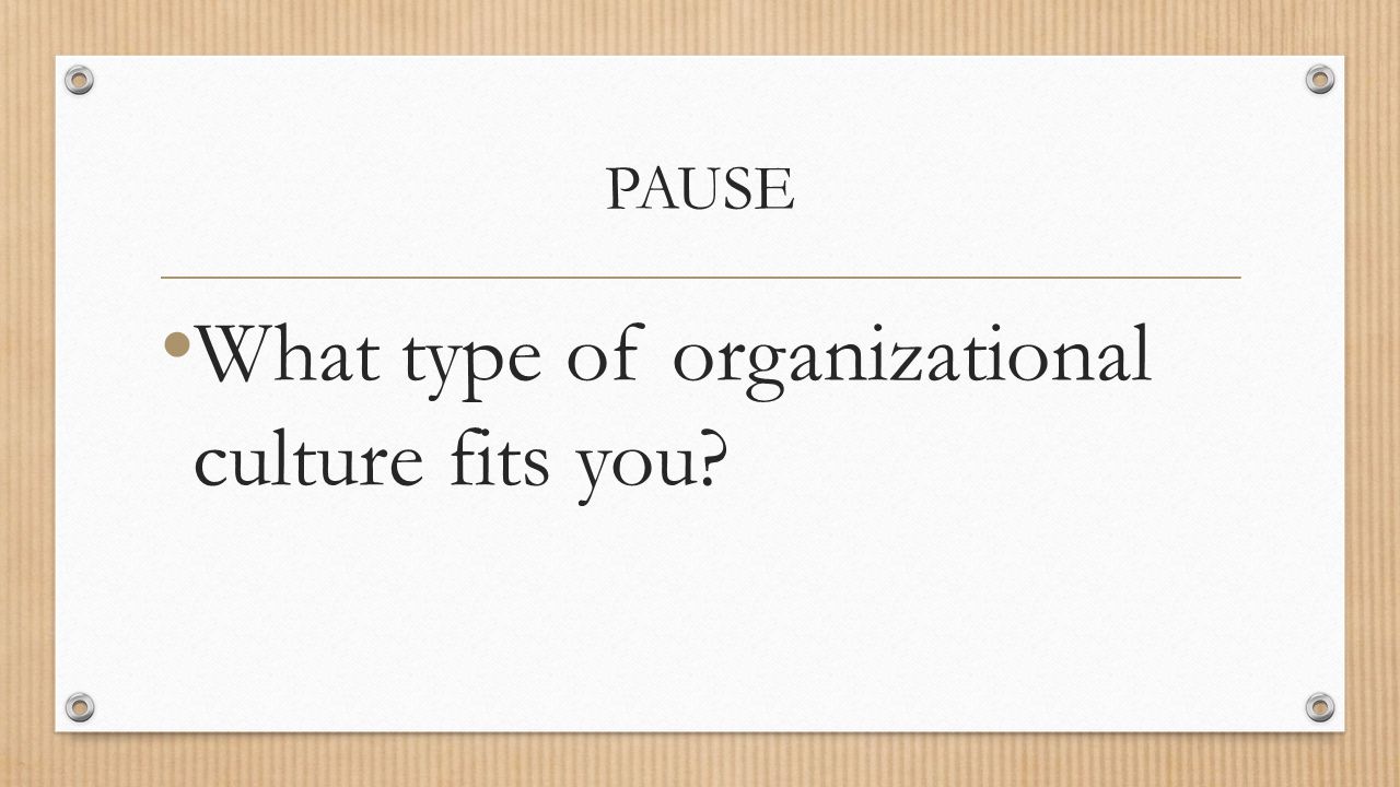 What type of organizational culture fits you