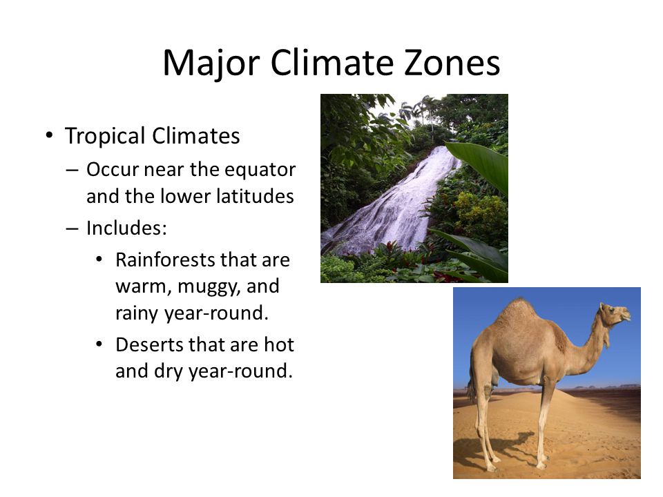 Major Climate Zones Planet Earth can be divided into three basic climate  zones: Tropical Temperate Polar. - ppt video online download
