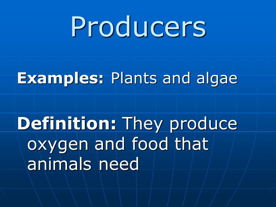Producers Definition: They produce oxygen and food that animals need