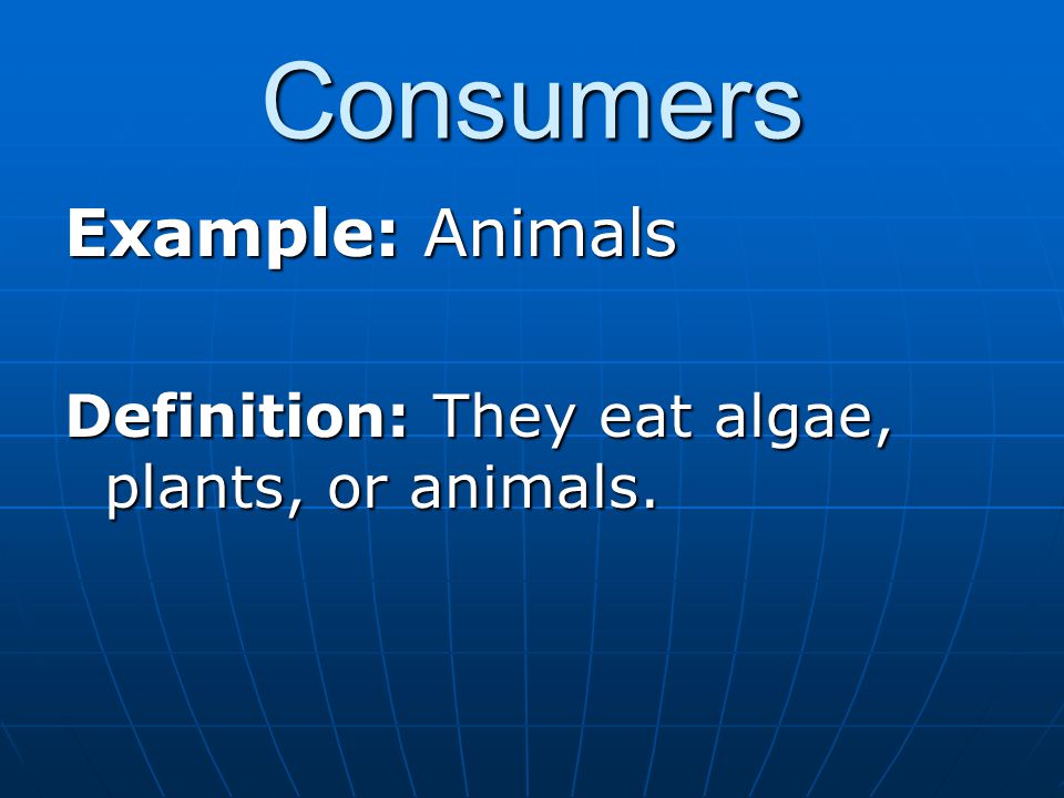 Consumers Example: Animals