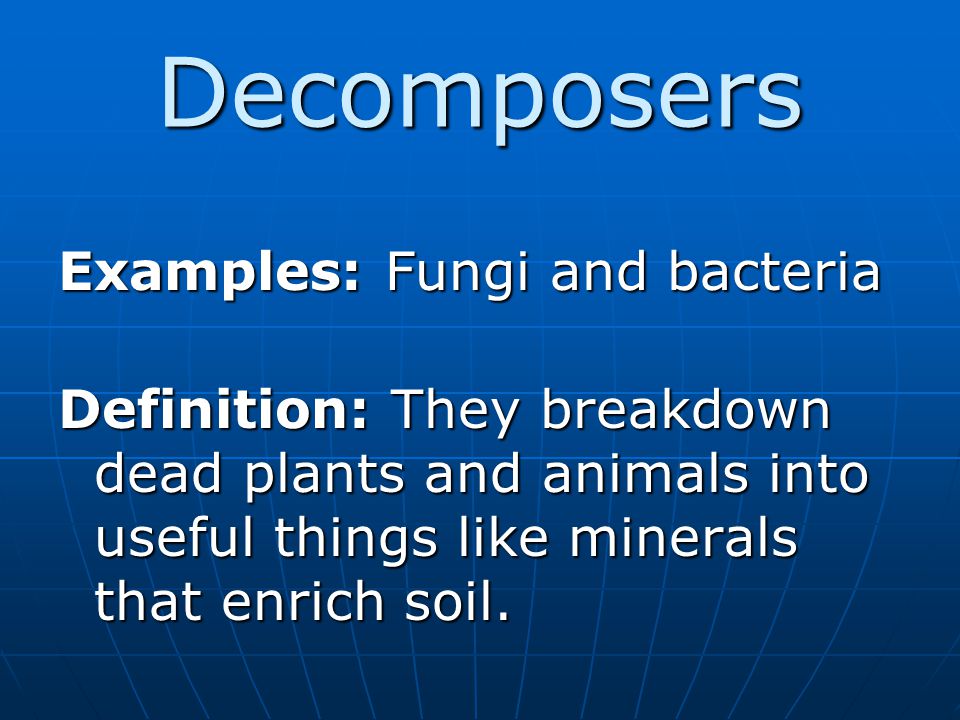 Decomposers Examples: Fungi and bacteria