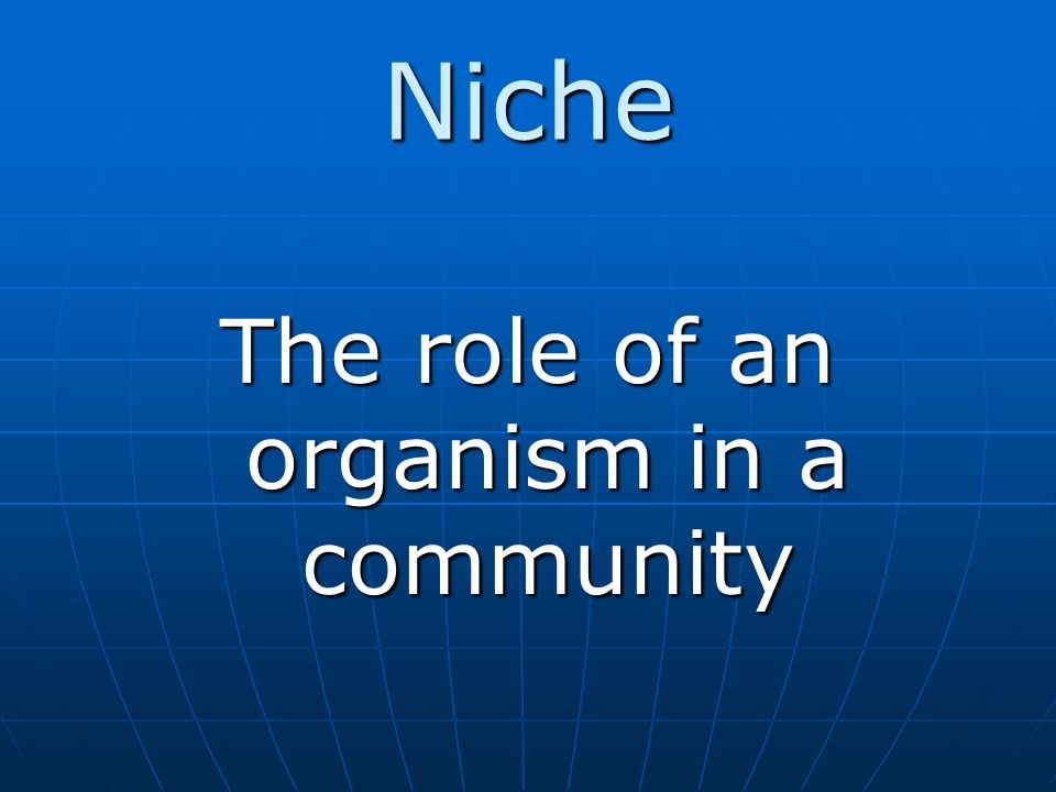 The role of an organism in a community