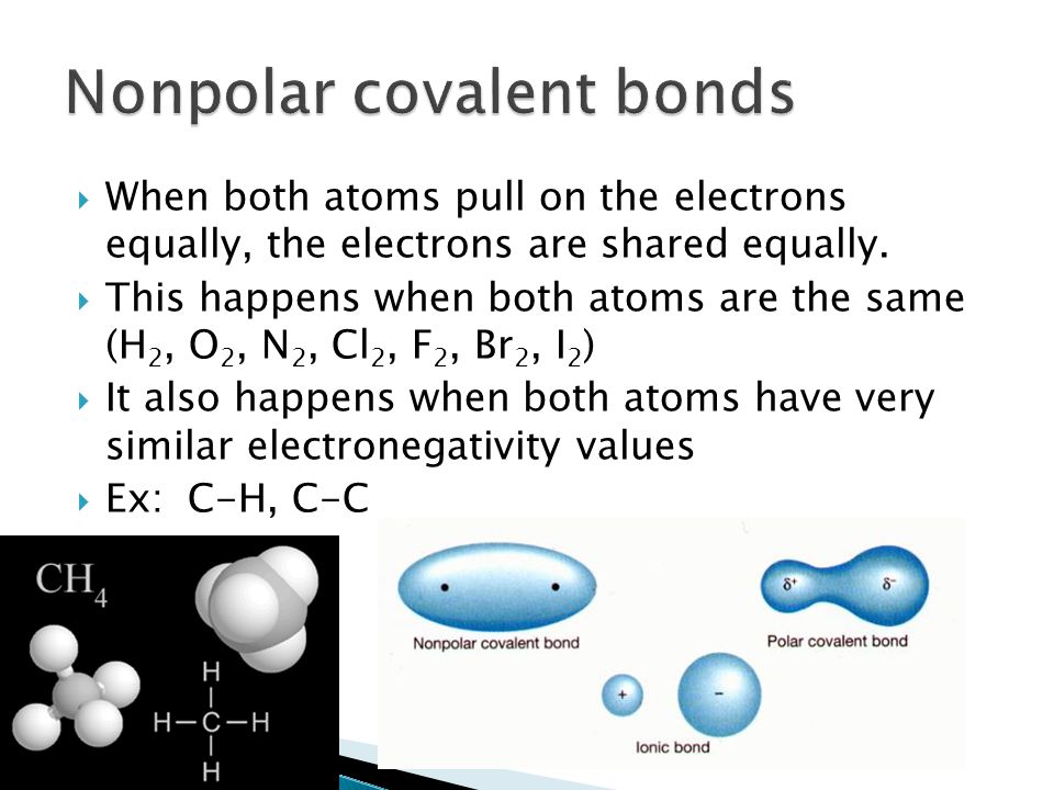 polar covalent molecule