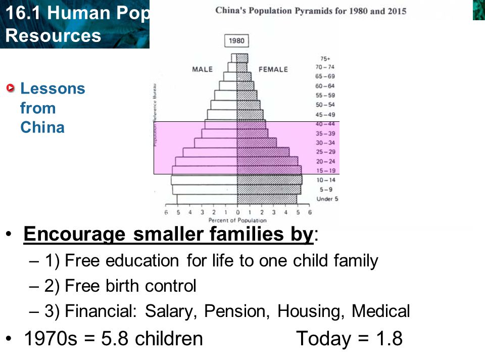 Encourage smaller families by: