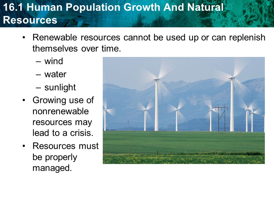Renewable resources cannot be used up or can replenish themselves over time.