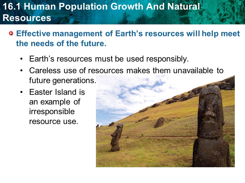 Effective management of Earth’s resources will help meet the needs of the future.