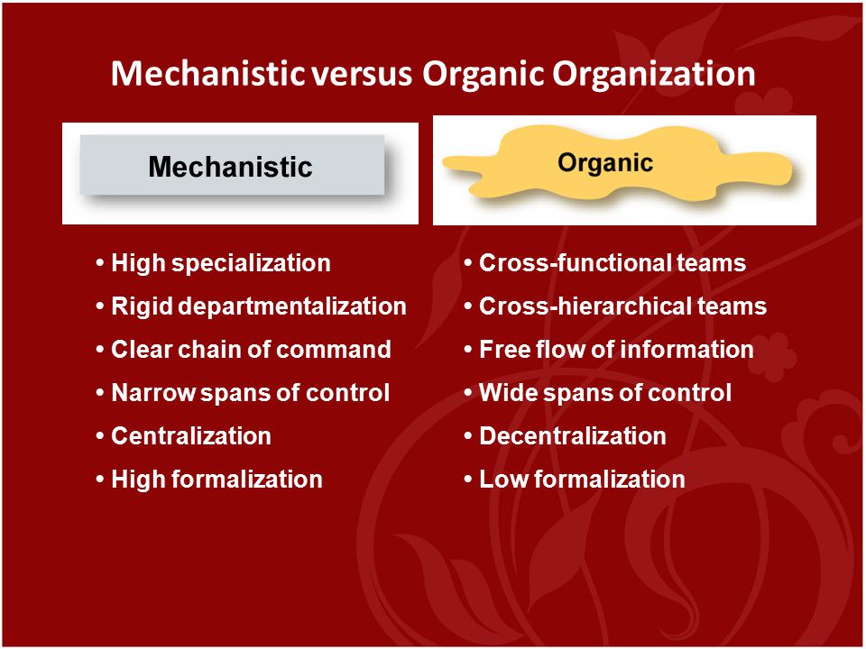 Mechanistic versus Organic Organization