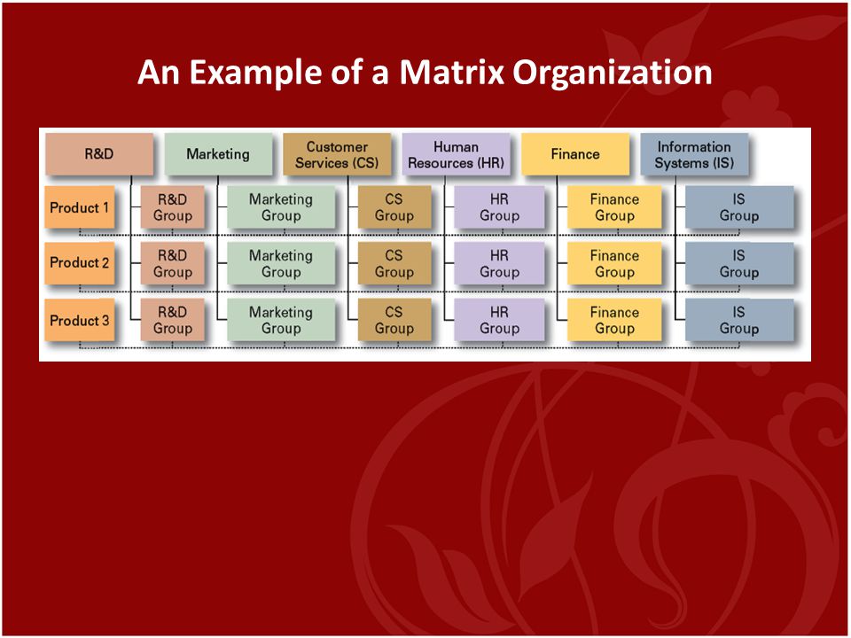 An Example of a Matrix Organization