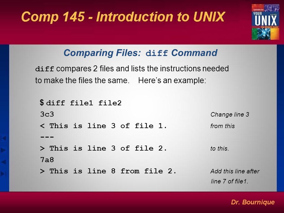 17_What Difference Between Cmp And Diff Commands Testing