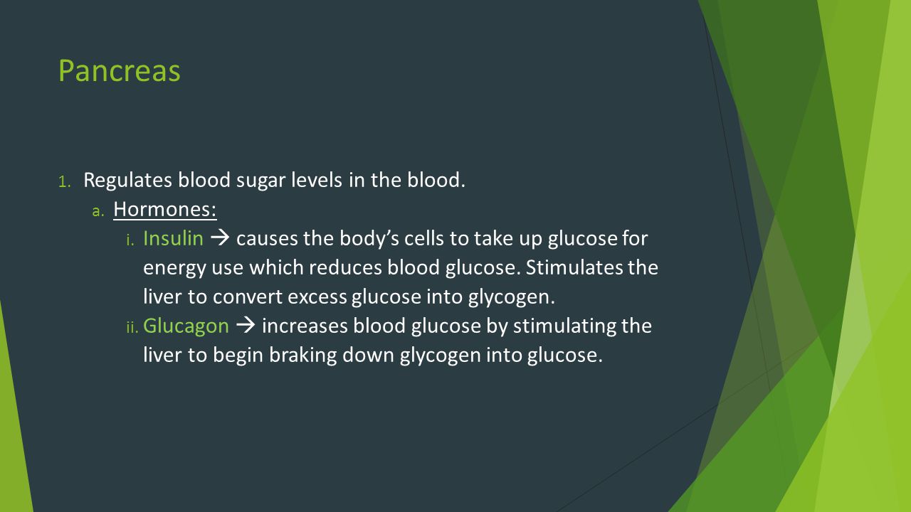Pancreas Regulates blood sugar levels in the blood. Hormones: