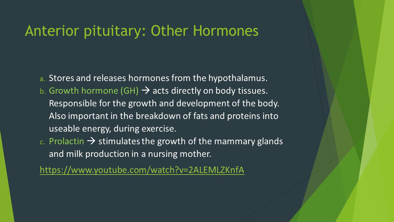 Anterior pituitary: Other Hormones