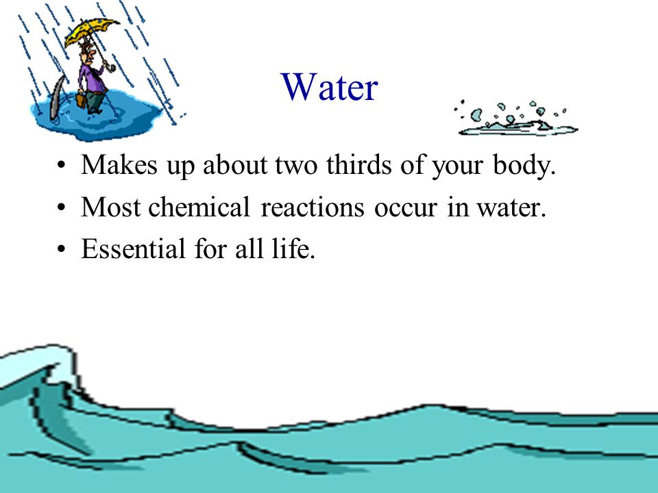 Water Makes up about two thirds of your body.
