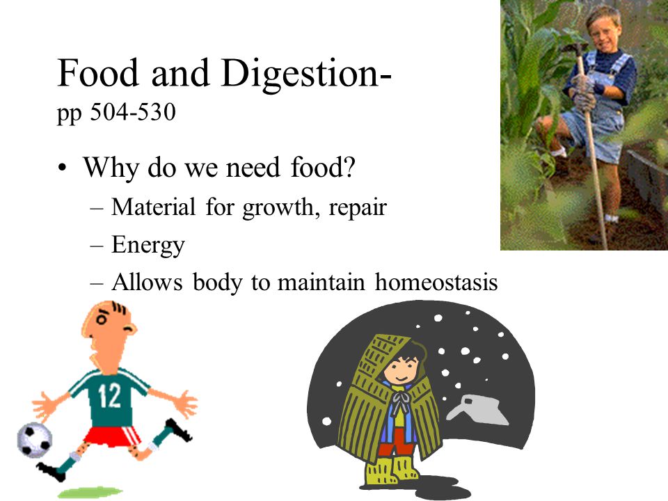 Food and Digestion- pp
