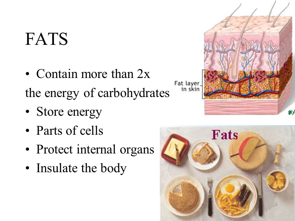 FATS Contain more than 2x the energy of carbohydrates Store energy