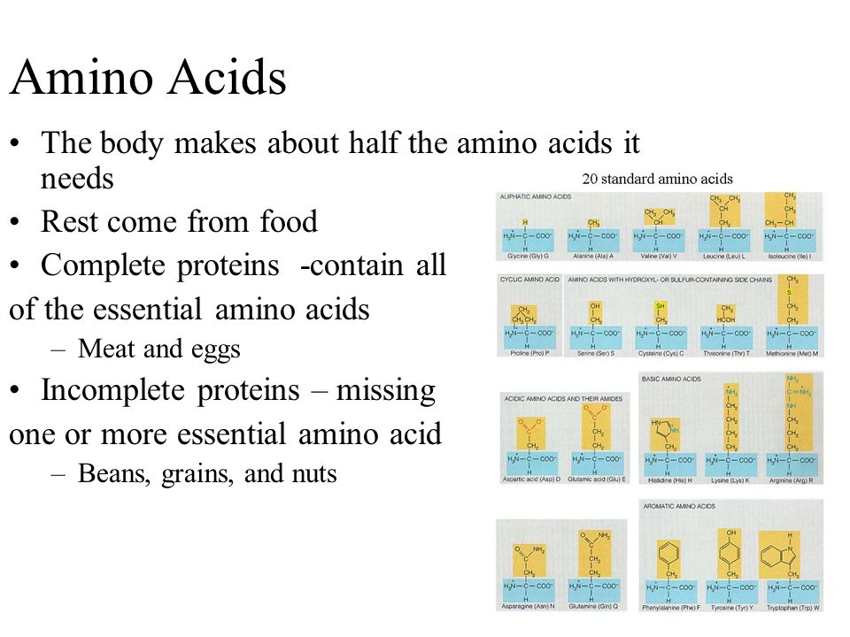 Amino Acids The body makes about half the amino acids it needs