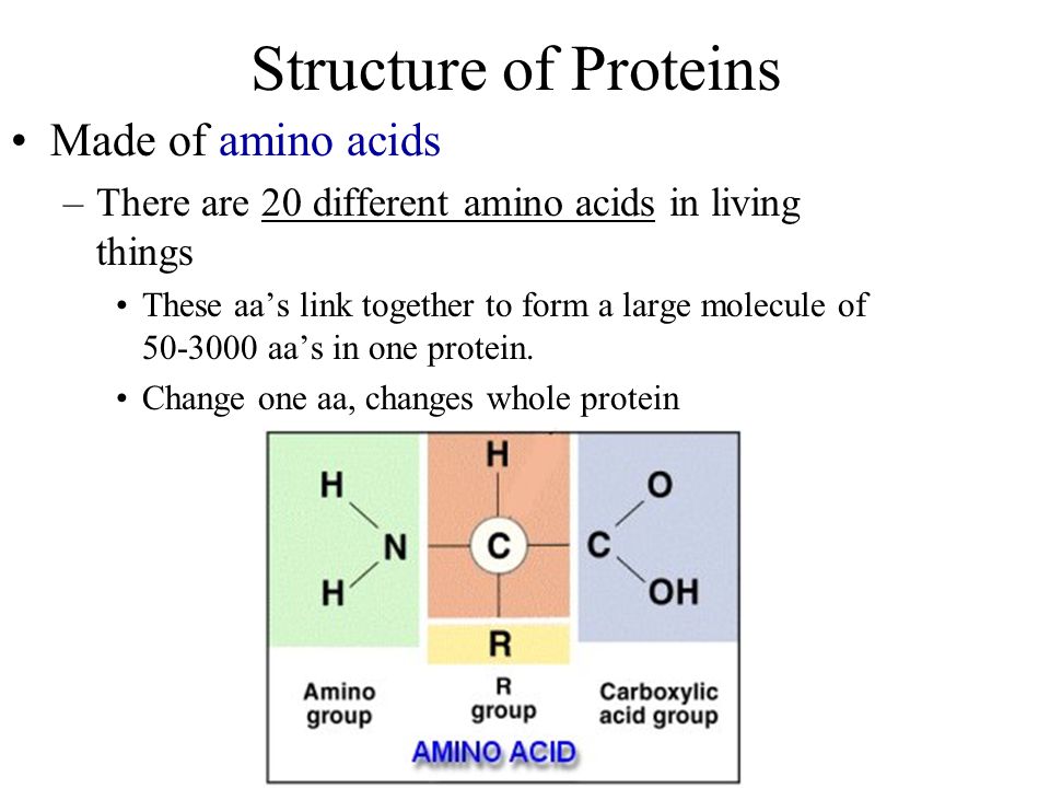Structure of Proteins Made of amino acids