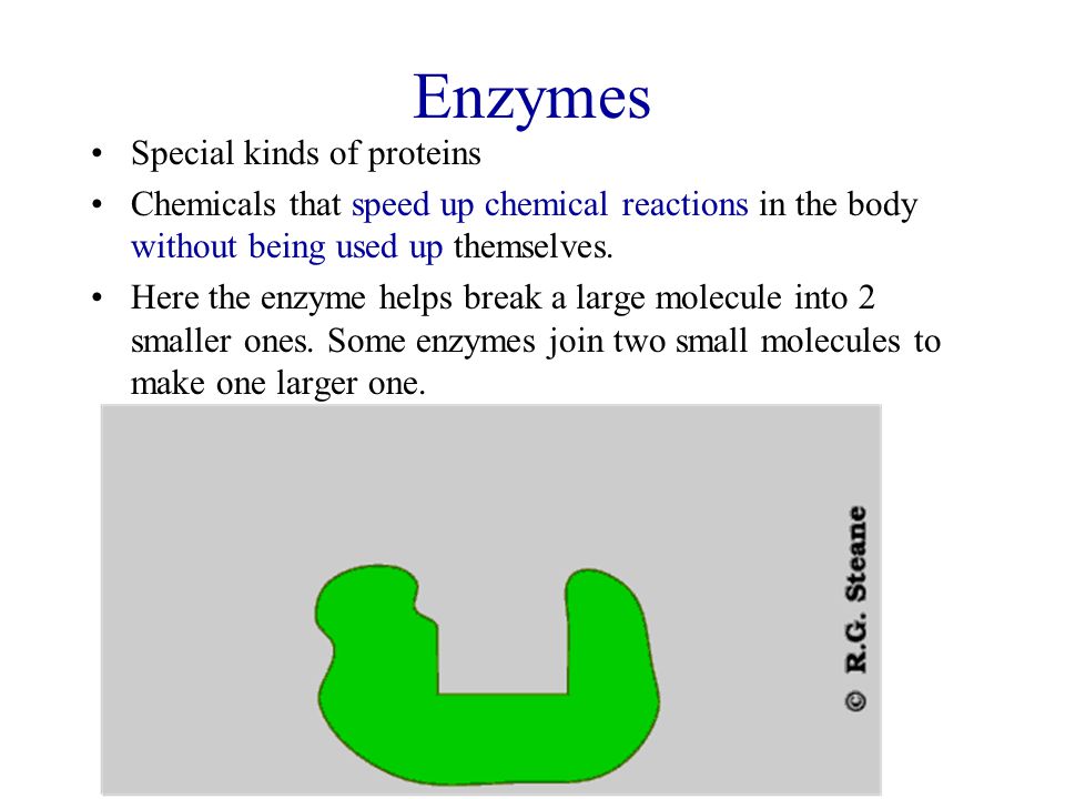 Enzymes Special kinds of proteins
