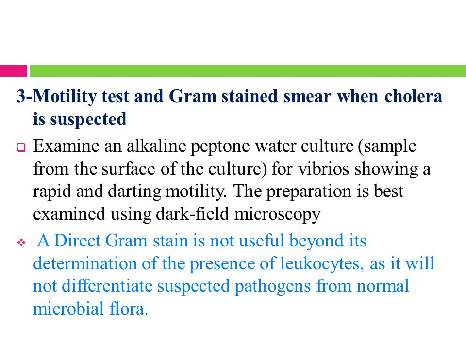 3-Motility test and Gram stained smear when cholera is suspected