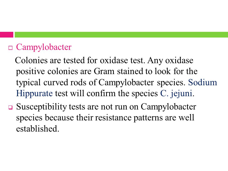 Campylobacter