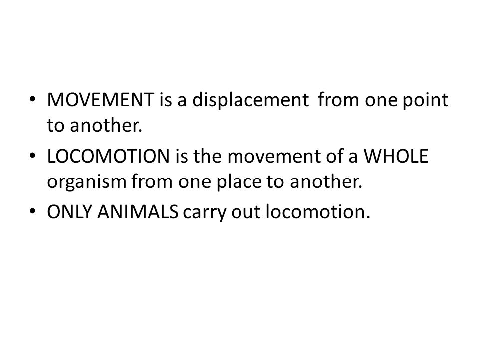 MOVEMENT and SUPPORT in ANIMALS - ppt download