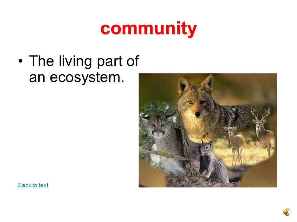 community The living part of an ecosystem. Back to text