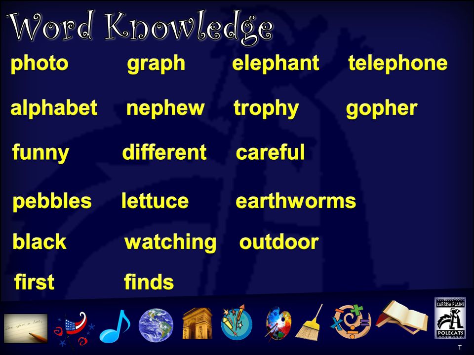 Word Knowledge Word Knowledge photo graph elephant telephone