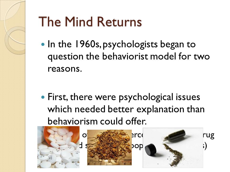 two track mind psychology