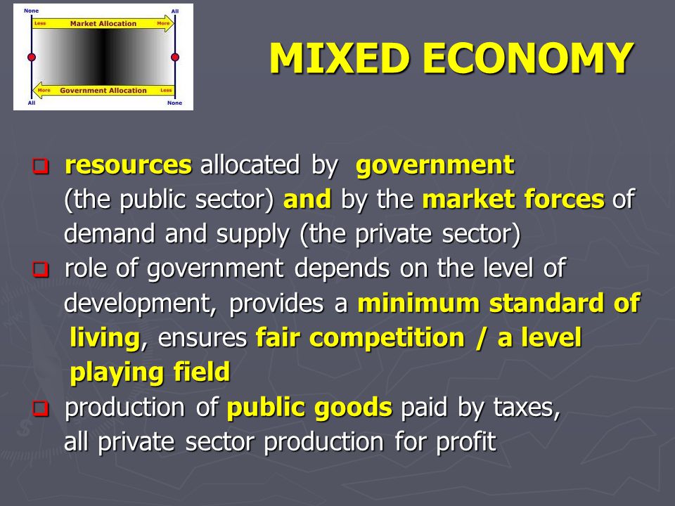 MIXED ECONOMY resources allocated by government