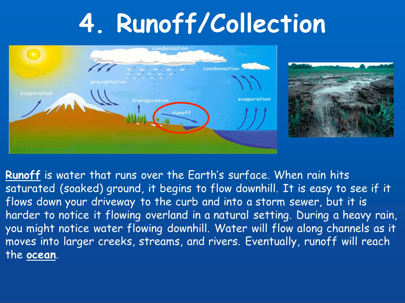 4. Runoff/Collection