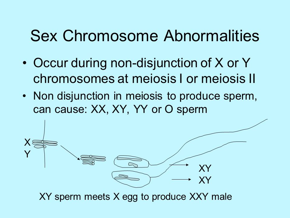 Sex Chromosome Abnormalities Ppt Video Online Download