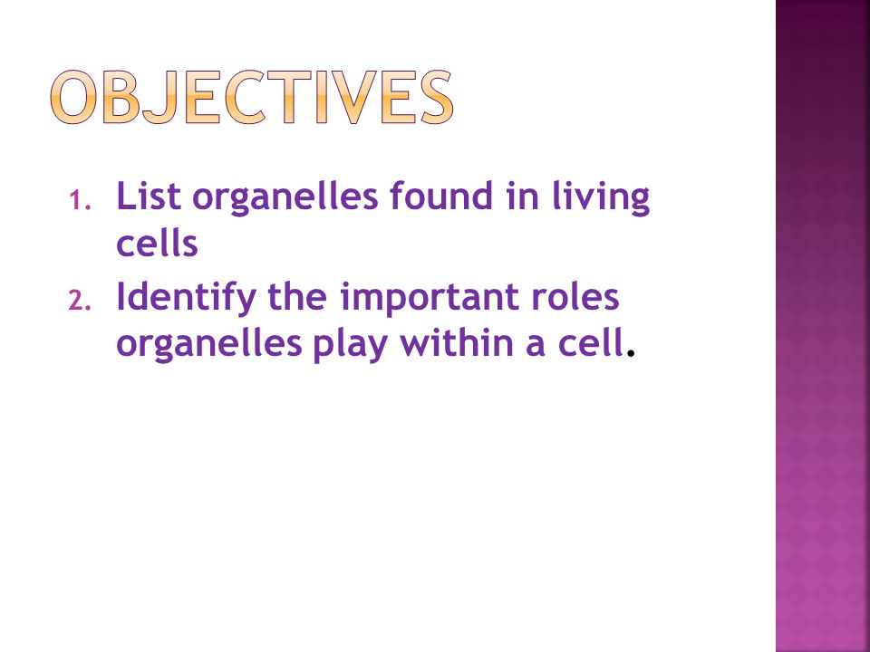 Objectives List organelles found in living cells