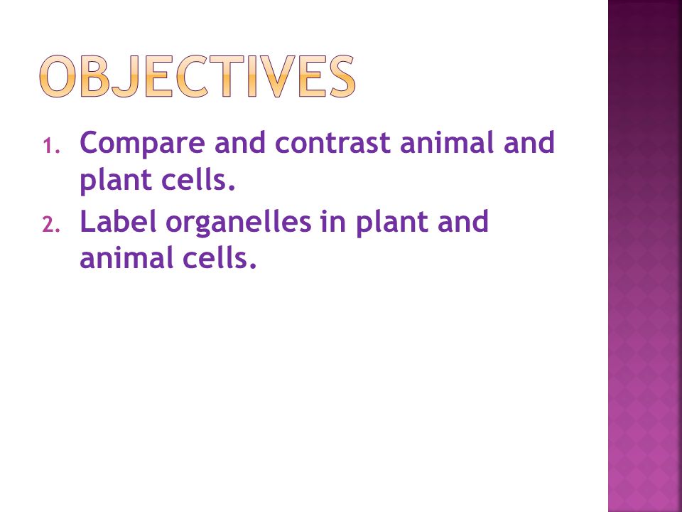 Objectives Compare and contrast animal and plant cells.