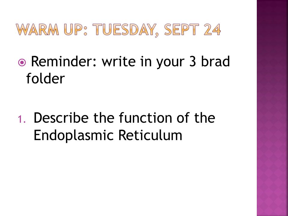 Warm Up: Tuesday, Sept 24 Reminder: write in your 3 brad folder